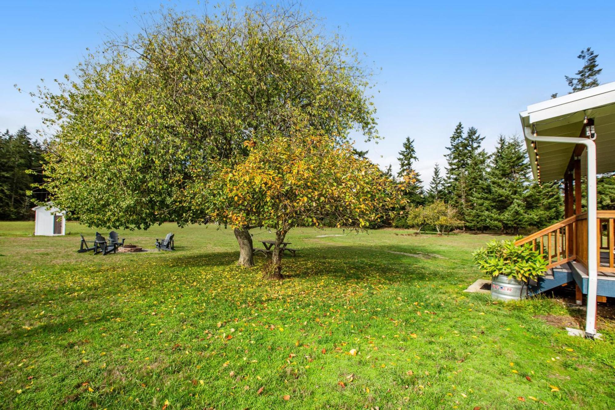 Historic Officer'S Farmhouse At Olf Coupeville Exterior photo